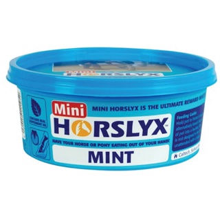 HORSLYX Mint Mini Vitamin & Mineral Lick 650g