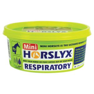 HORSLYX Respiratory Mini Vitamin & Mineral Lick 650g