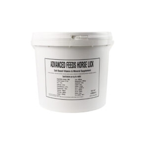 Advanced Feeds Horse Lick