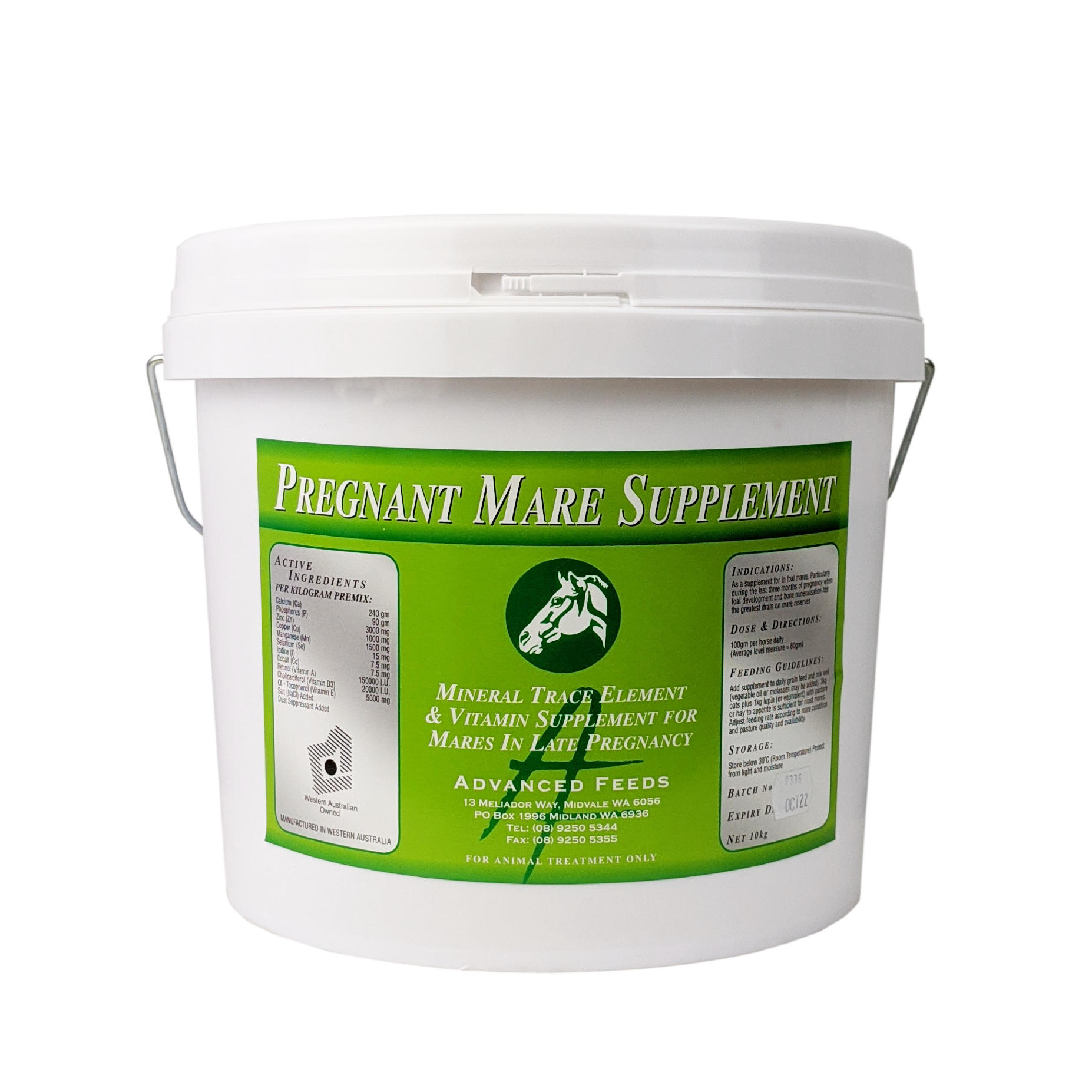 Advanced Pregnant Mare