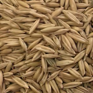 Triangle Oats Clipped & Dressed 30kg