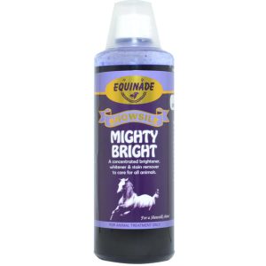 Equinade Mighty Bright