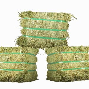 Glenvar Oaten Hay Ezy Cube - Large Compressed Bale