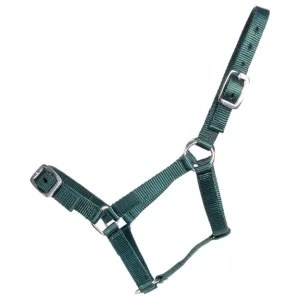 STC Economy Halter FOAL - Assorted Colours