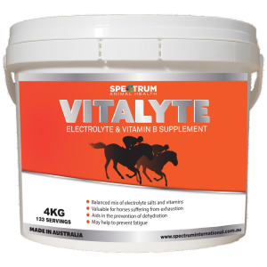 SPECTRUM Vitalyte Electrolyte Powder 4kg