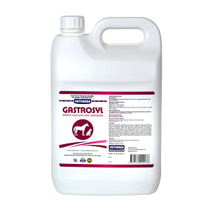 Vetsense Gastrosyl 5L