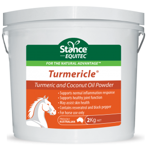 Stance Equitec Turmericle