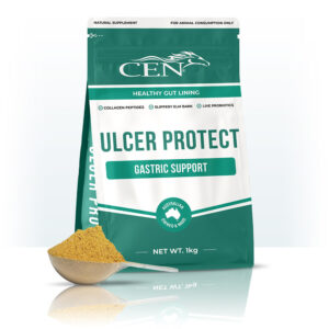 CEN Nutrition Ulcer Protect
