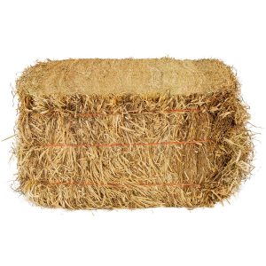 Glenvar Straw Ezy Cube - Larger Compressed Bale