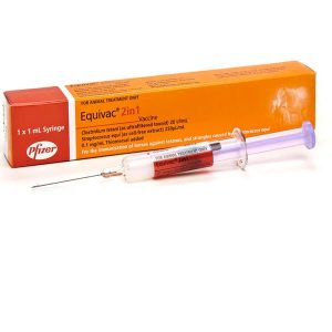 EQUIVAC¬Æ 2in1 (Stangles & Tetanus) 1ml Syringe