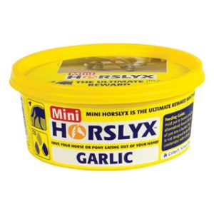 HORSLYX Garlic Mini Vitamin & Mineral Lick 650g