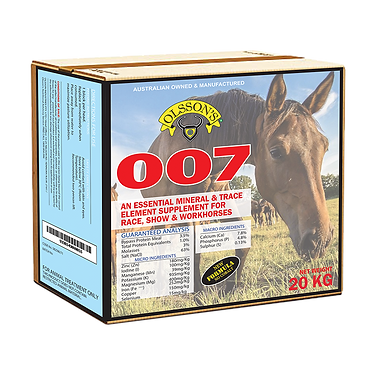 Olssons Block 007 Horse 20Kg