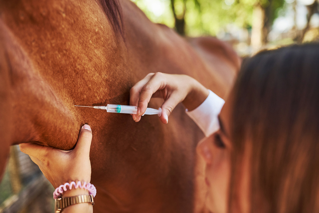 Wormers & Parasite Control