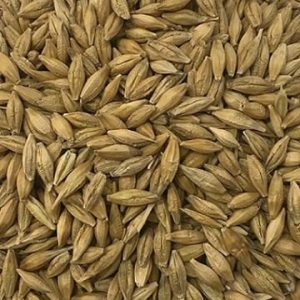 T & R Barley Whole 25kg